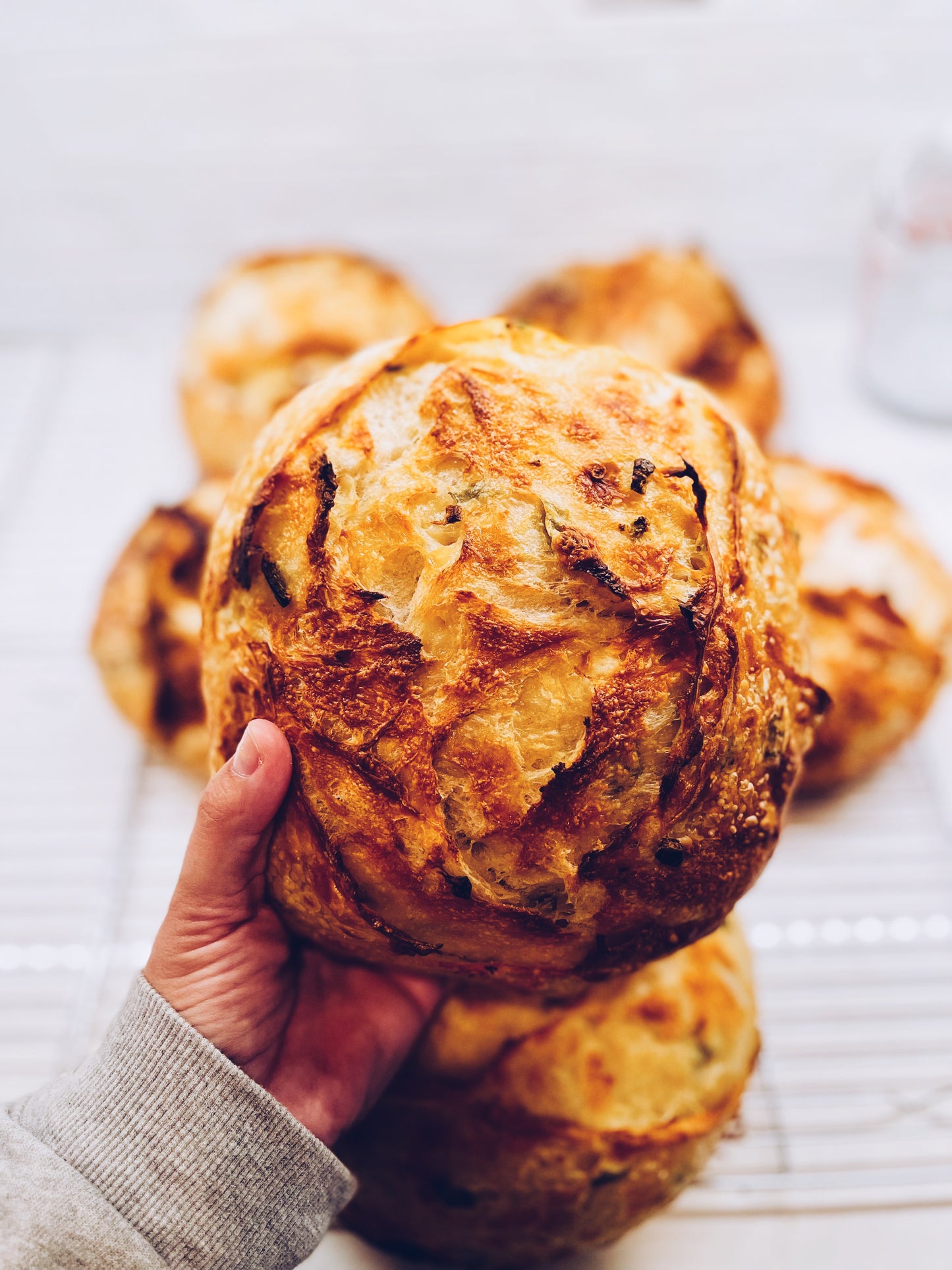 Artisan Loaf - Cheddar Jalapeno