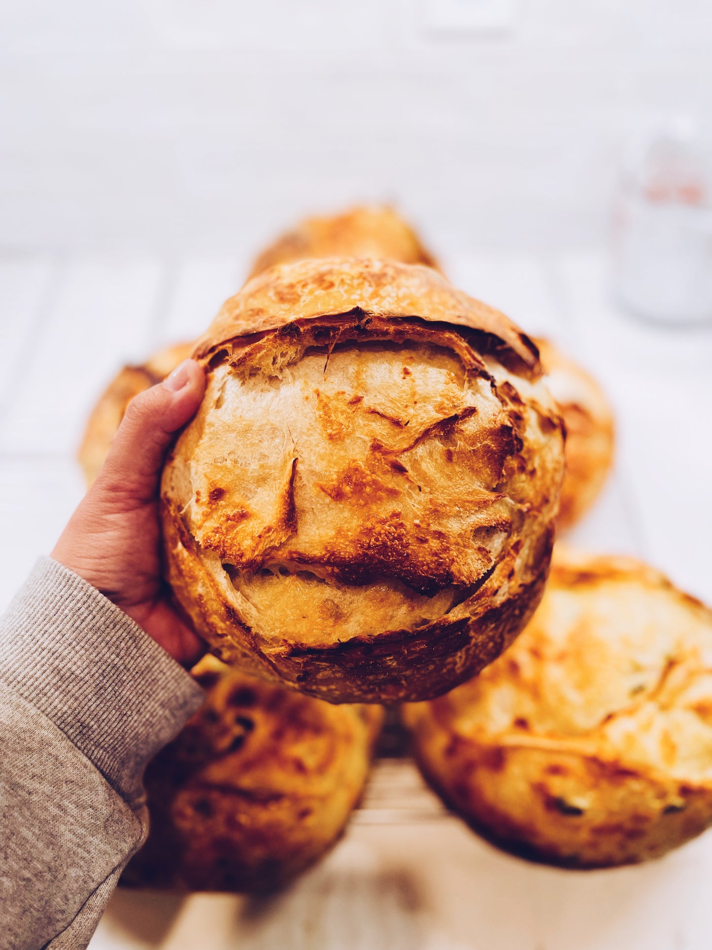 Artisan Loaf - Rosemary Asiago